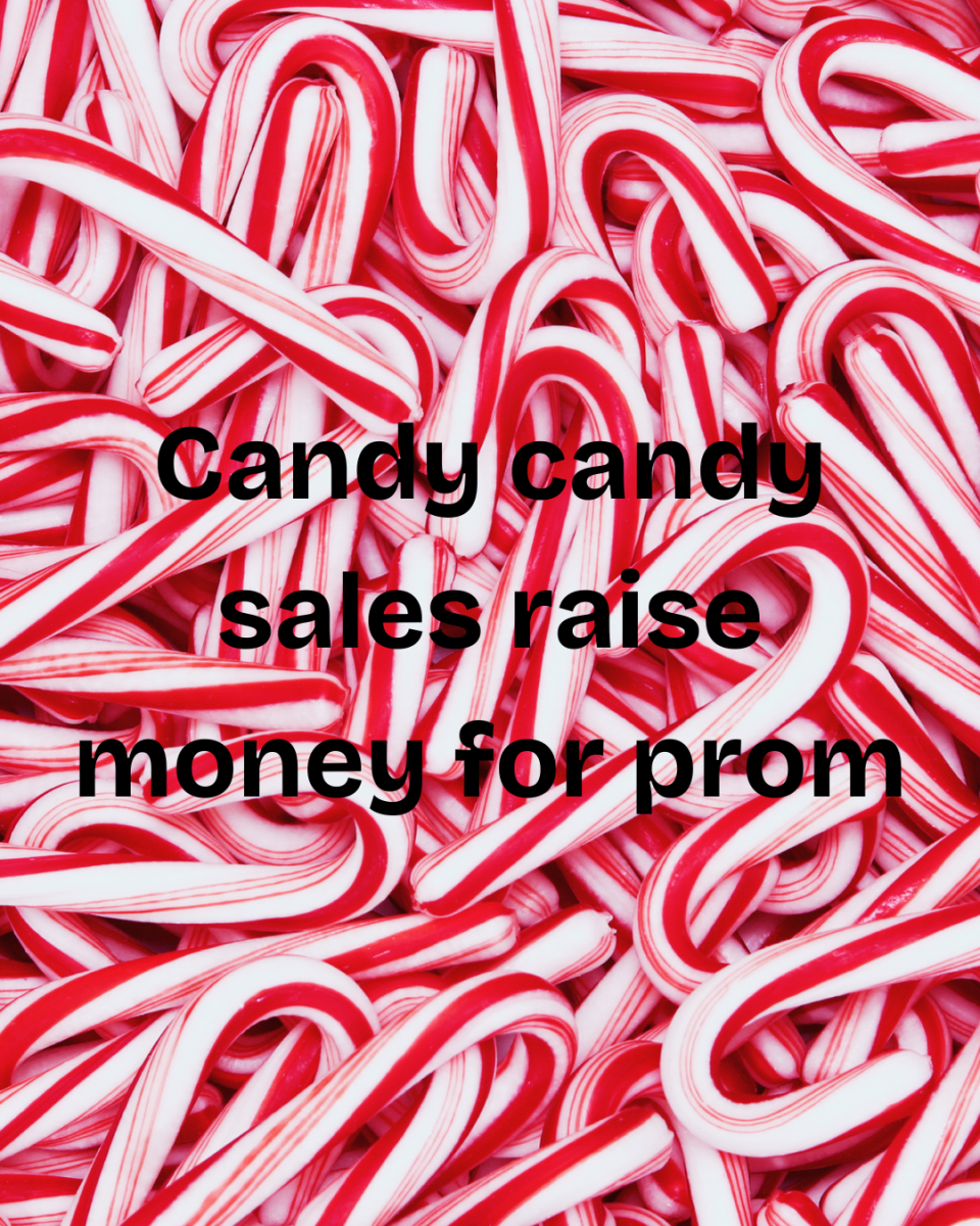 In December the prom committee sold candy canes to raise money for the prom in May.